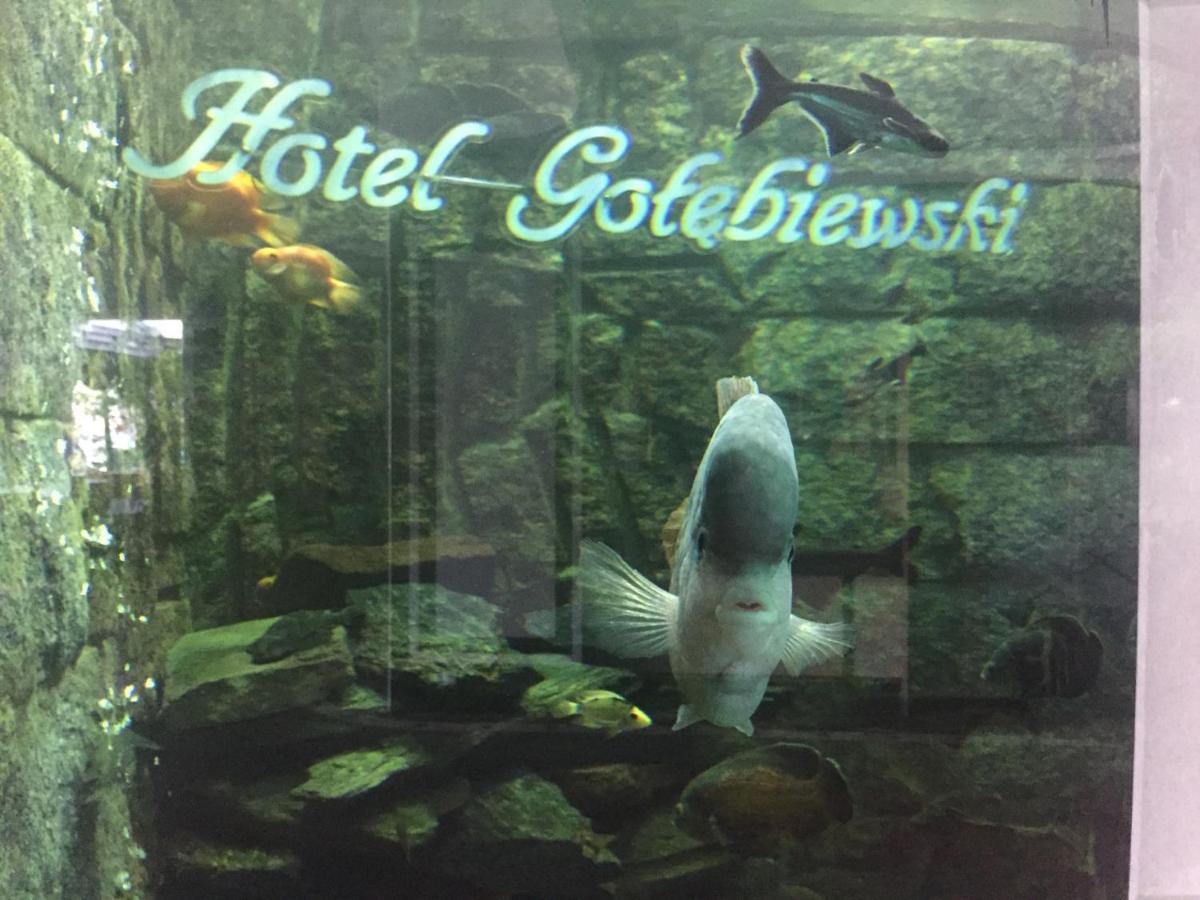 Hotel Golebiewski Bialystok Ngoại thất bức ảnh